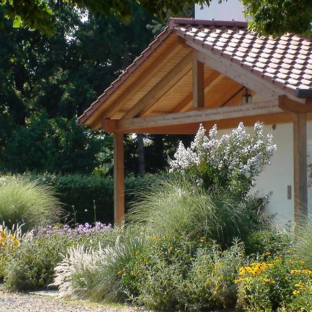 Villa Gina Zero Branco Exteriér fotografie